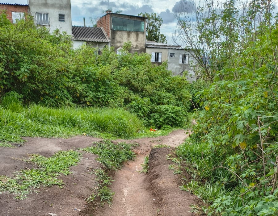 Perigos com Animais Peçonhentos