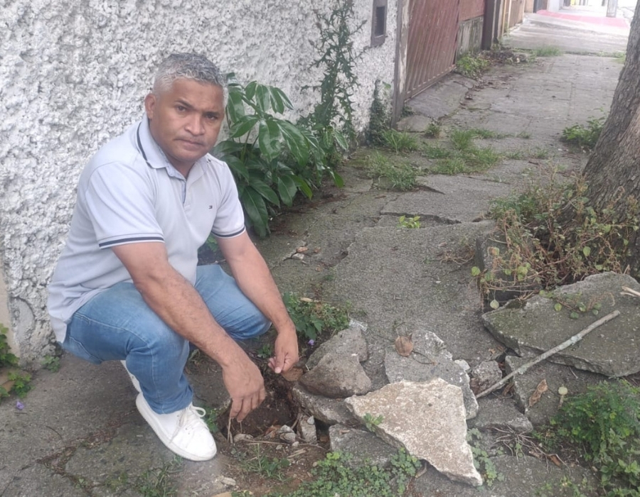 Pedido de extração de árvore – Rua Caiçara, nº 97